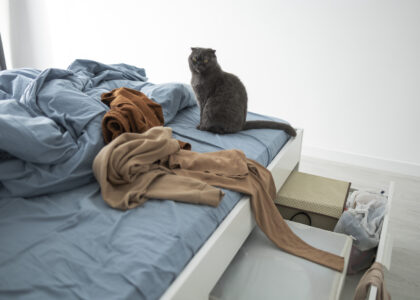 Chi deve pagare se si rompe un mobile o un letto in un affitto ammobiliato?